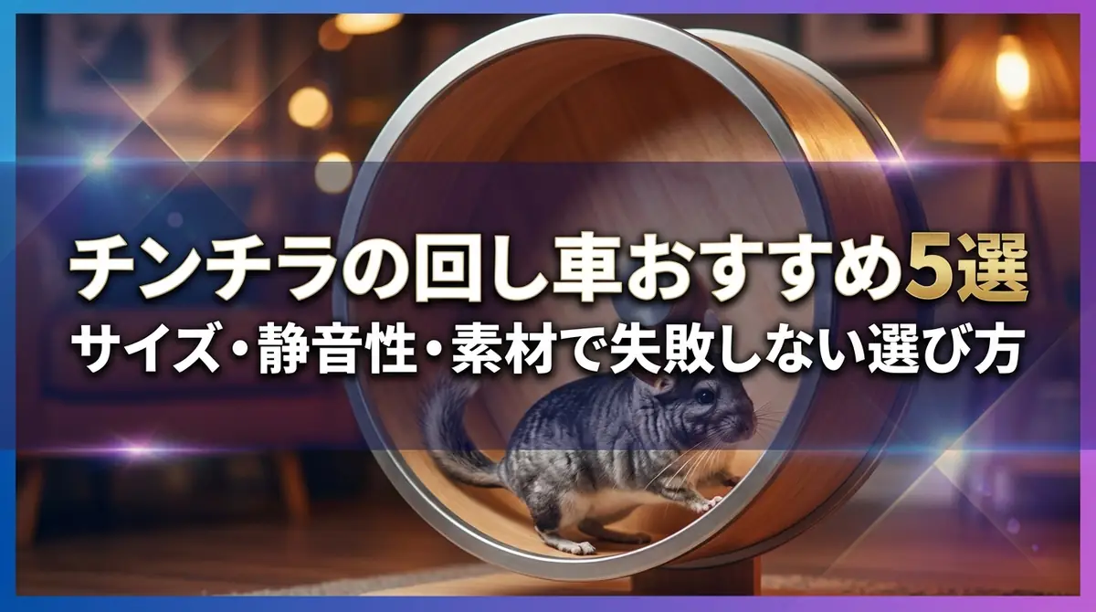 チンチラの回し車おすすめ5選｜サイズ・静音性・素材で失敗しない選び方